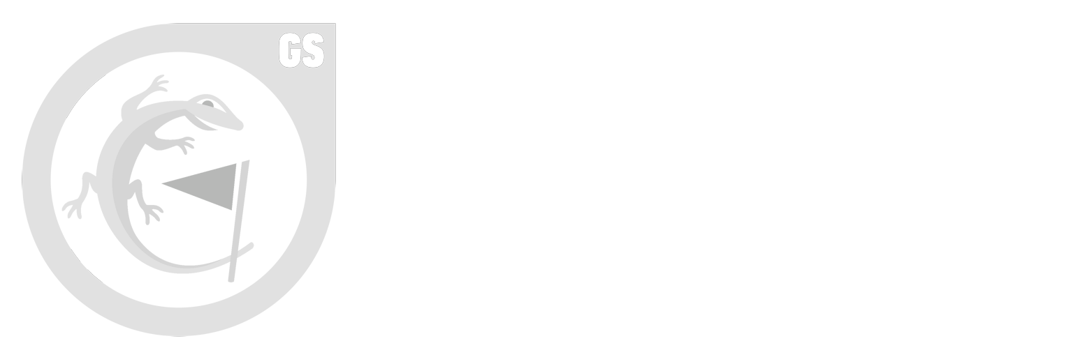 logo GS
